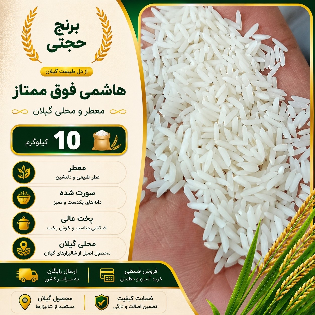 برنج هاشمی امسالی 10 کیلو ارسال رایگان