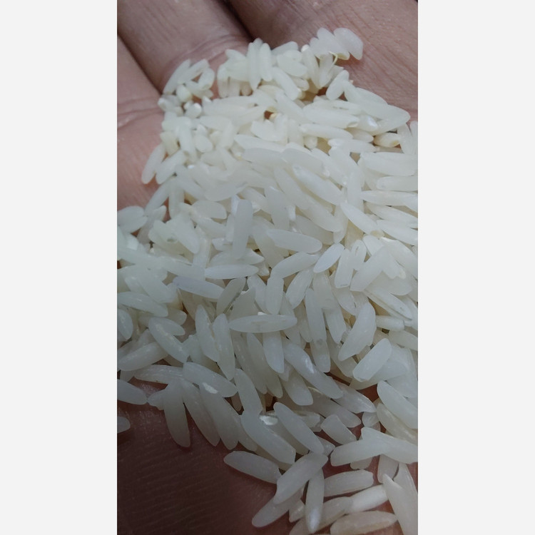 برنج هاشمی امسالی 10 کیلو ارسال رایگان